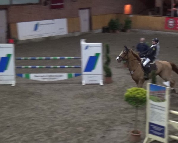 Reitturnier Stall Friedrichshulde, Sylva Kuhrt 2017