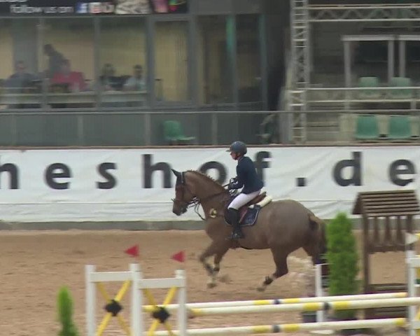 FEI Reitturnier Kreuth (GER) 2017