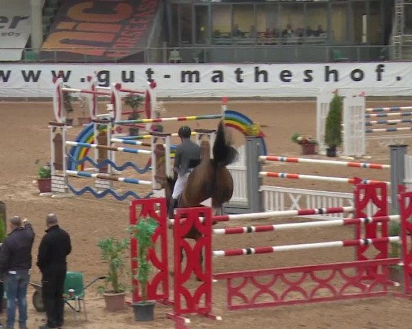 FEI Reitturnier Kreuth (GER) 2017