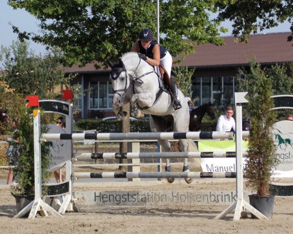 Springpferd Corex (Westfale, 2009, von Cornet Obolensky) Springpferd Corex (Westfale, 2009, von Cornet Obolensky)