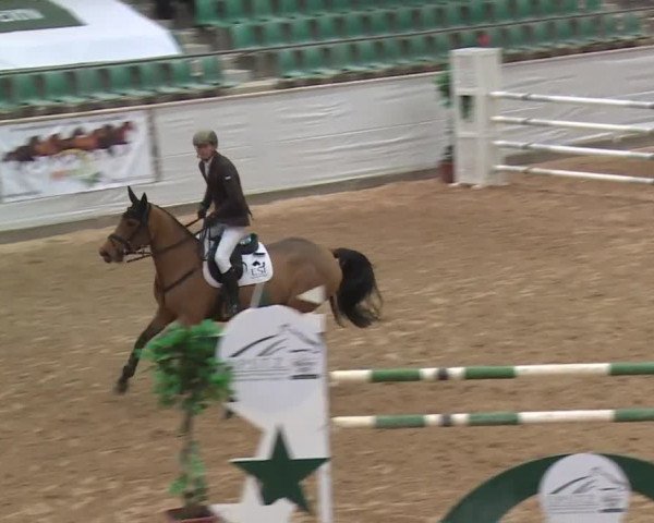 FEI Reitturnier Kreuth (GER) 2017