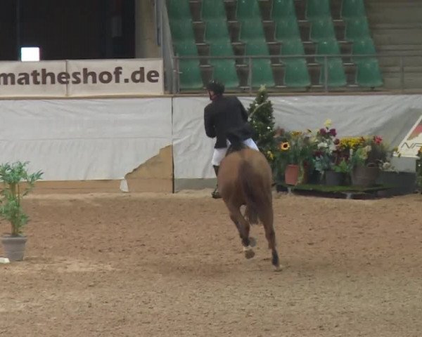 FEI Reitturnier Kreuth (GER) 2017
