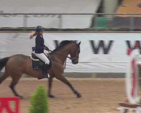 FEI Reitturnier Kreuth (GER) 2017