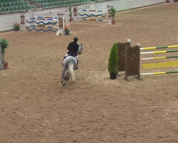 FEI Reitturnier Kreuth (GER) 2017