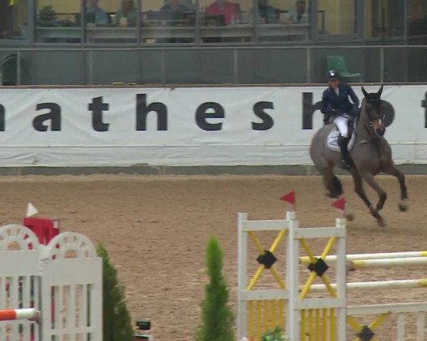 FEI Reitturnier Kreuth (GER) 2017