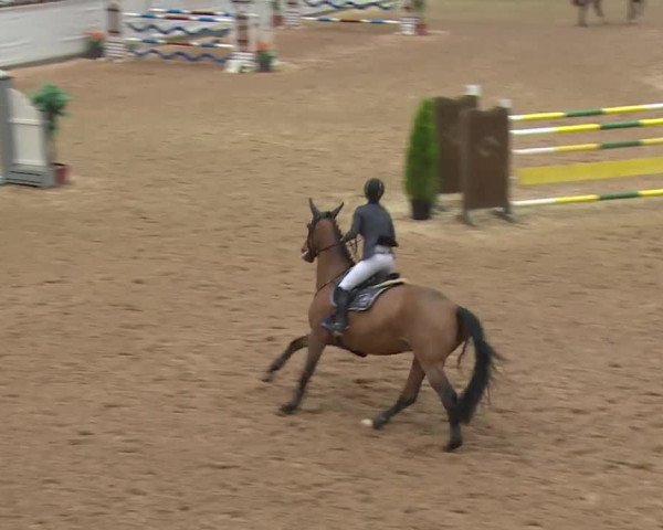 FEI Reitturnier Kreuth (GER) 2017