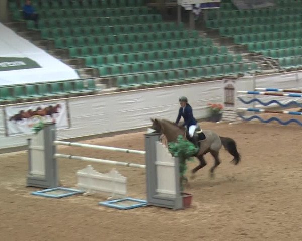 FEI Reitturnier Kreuth (GER) 2017