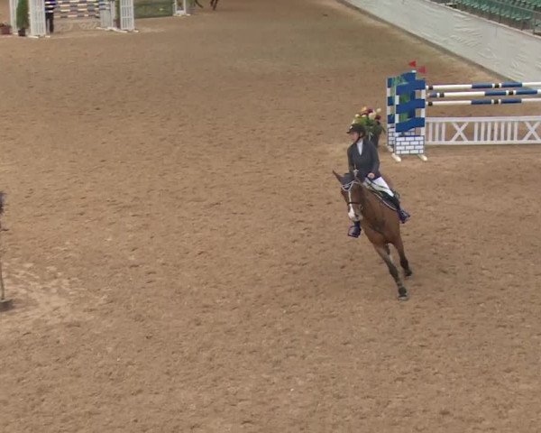 FEI Reitturnier Kreuth (GER) 2017
