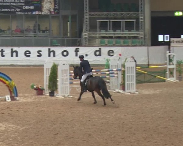 FEI Reitturnier Kreuth (GER) 2017