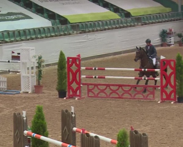 FEI Reitturnier Kreuth (GER) 2017