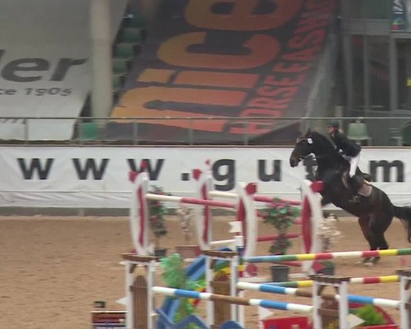 FEI Reitturnier Kreuth (GER) 2017