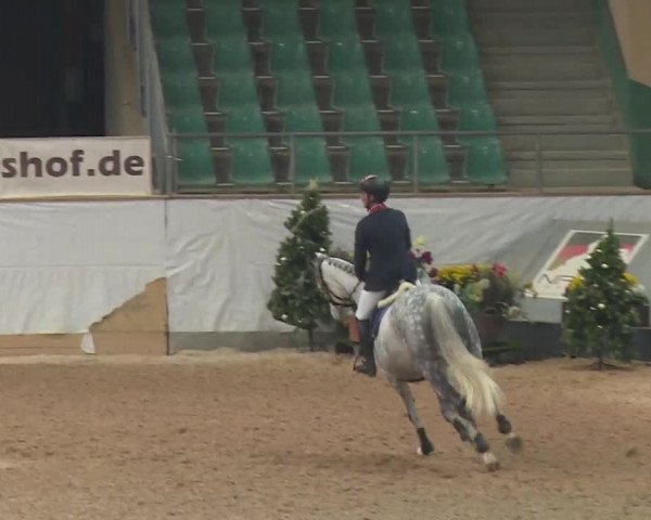 FEI Reitturnier Kreuth (GER) 2017