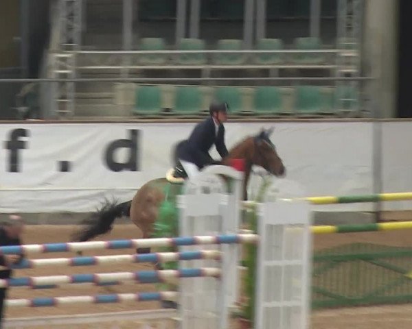 FEI Reitturnier Kreuth (GER) 2017