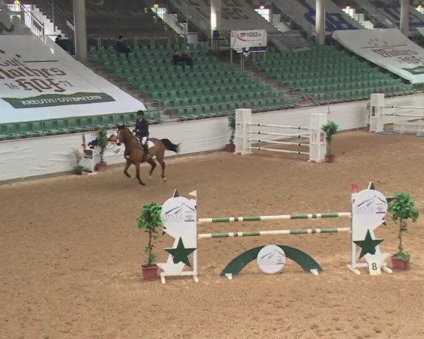 FEI Reitturnier Kreuth (GER) 2017