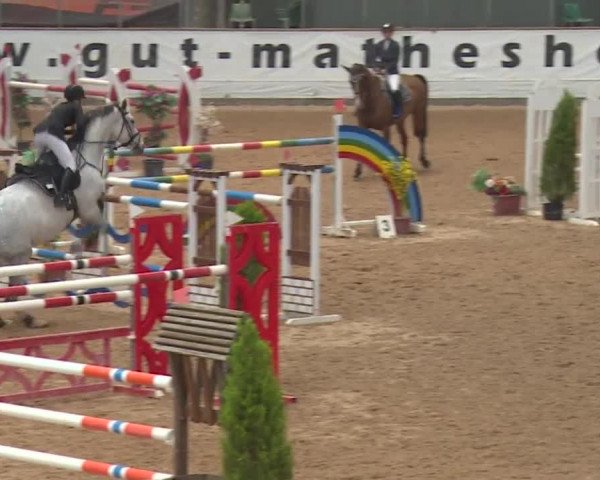 FEI Reitturnier Kreuth (GER) 2017