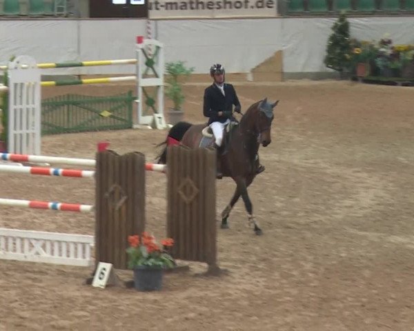 FEI Reitturnier Kreuth (GER) 2017