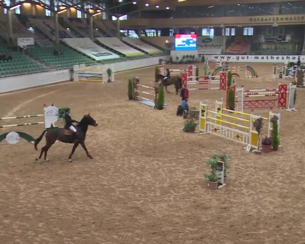 FEI Reitturnier Kreuth (GER) 2017