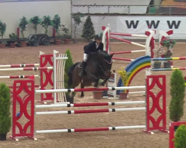FEI Reitturnier Kreuth (GER) 2017