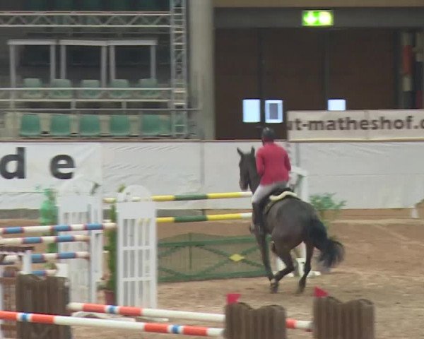 FEI Reitturnier Kreuth (GER) 2017