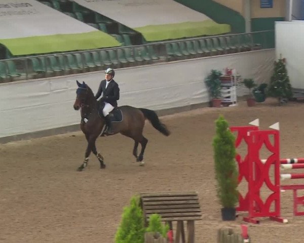 FEI Reitturnier Kreuth (GER) 2017