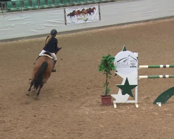 FEI Reitturnier Kreuth (GER) 2017