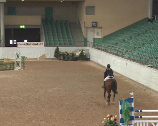 FEI Reitturnier Kreuth (GER) 2017