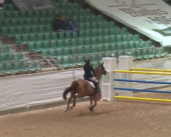 FEI Reitturnier Kreuth (GER) 2017