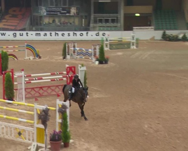 FEI Reitturnier Kreuth (GER) 2017