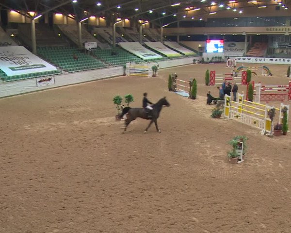 FEI Reitturnier Kreuth (GER) 2017