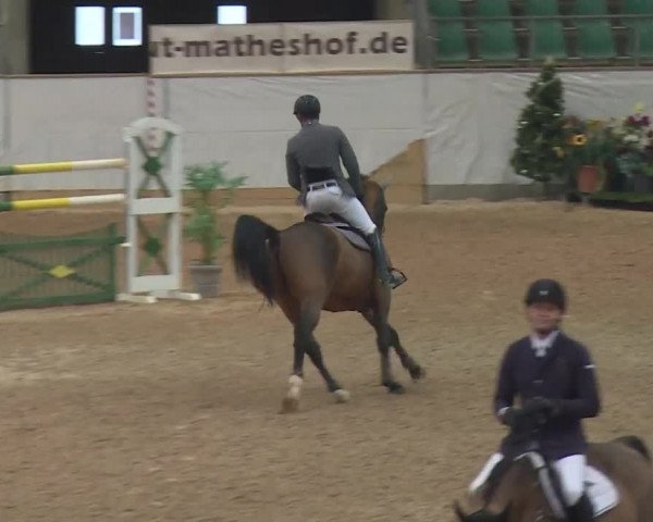 FEI Reitturnier Kreuth (GER) 2017