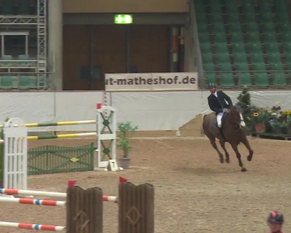FEI Reitturnier Kreuth (GER) 2017