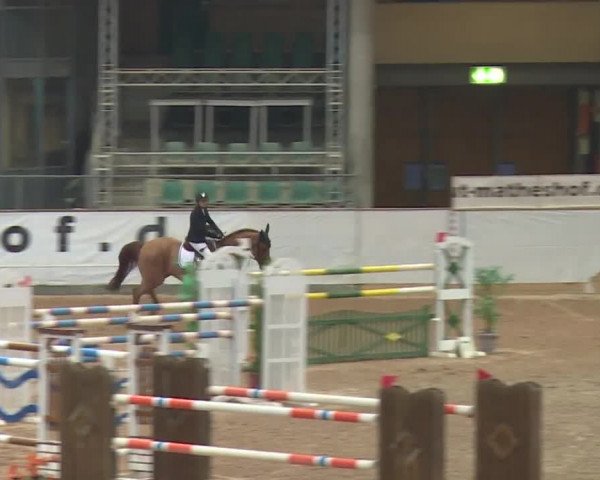 FEI Reitturnier Kreuth (GER) 2017