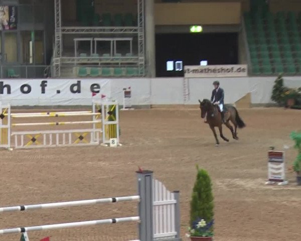 FEI Reitturnier Kreuth (GER) 2017