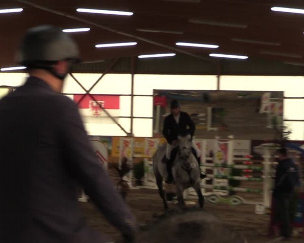 Große Jumping-Trophy Pausin 2021