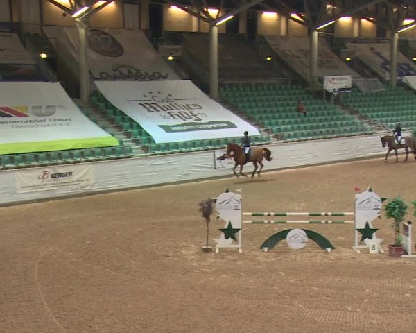 FEI Reitturnier Kreuth (GER) 2017