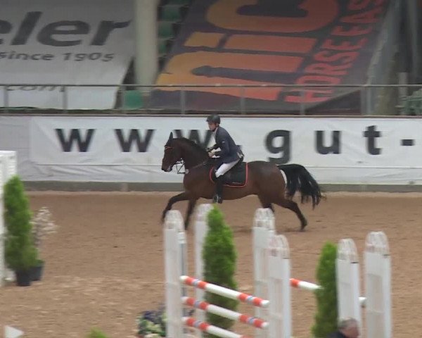 FEI Reitturnier Kreuth (GER) 2017