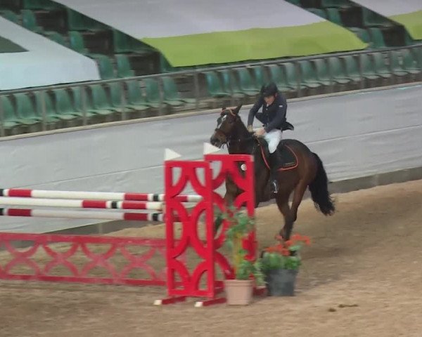 FEI Reitturnier Kreuth (GER) 2017