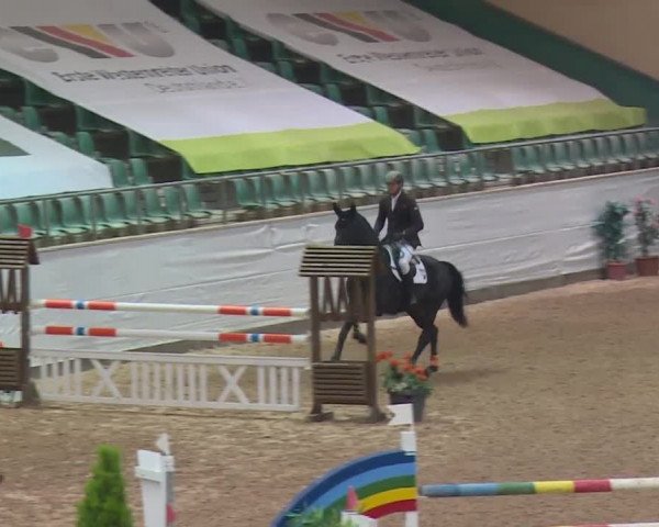 FEI Reitturnier Kreuth (GER) 2017