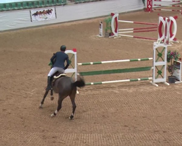FEI Reitturnier Kreuth (GER) 2017