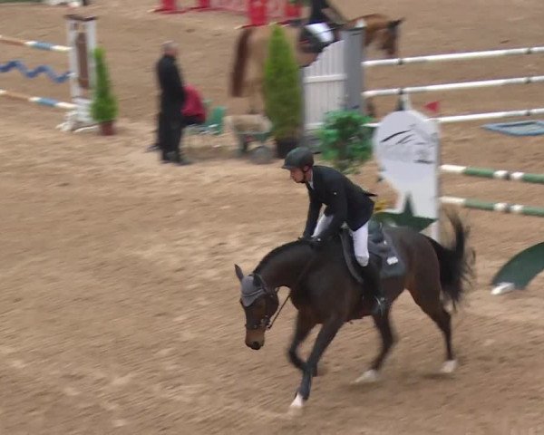 FEI Reitturnier Kreuth (GER) 2017
