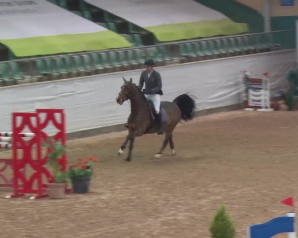 FEI Reitturnier Kreuth (GER) 2017