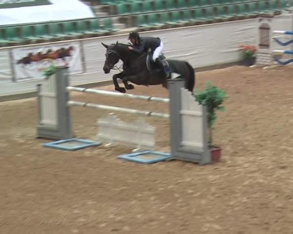 FEI Reitturnier Kreuth (GER) 2017