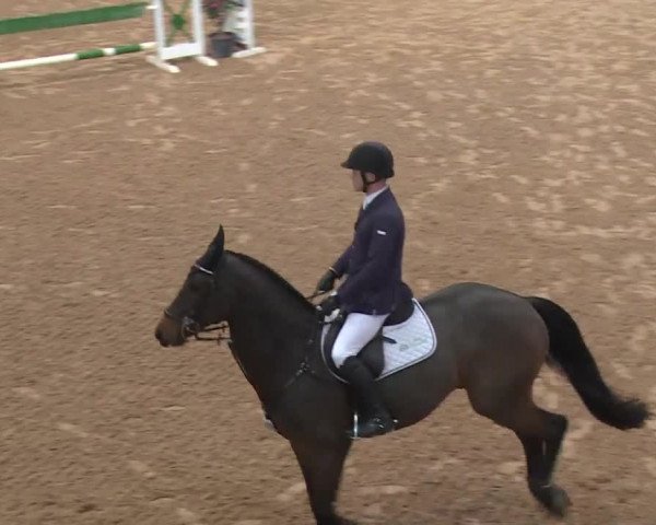 FEI Reitturnier Kreuth (GER) 2017