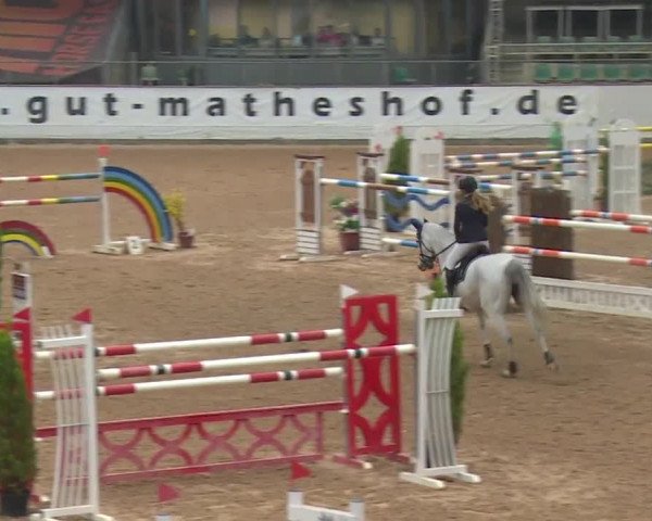 FEI Reitturnier Kreuth (GER) 2017