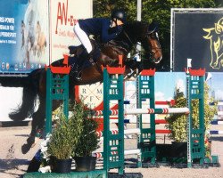 jumper Emil van Schnuffel (KWPN (Royal Dutch Sporthorse), 2013, from Emilion)