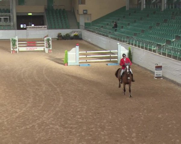 FEI Reitturnier Kreuth (GER) 2017