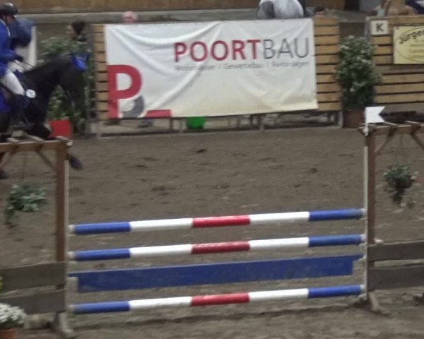 Reitturnier Stall Friedrichshulde, Sylva Kuhrt 2017