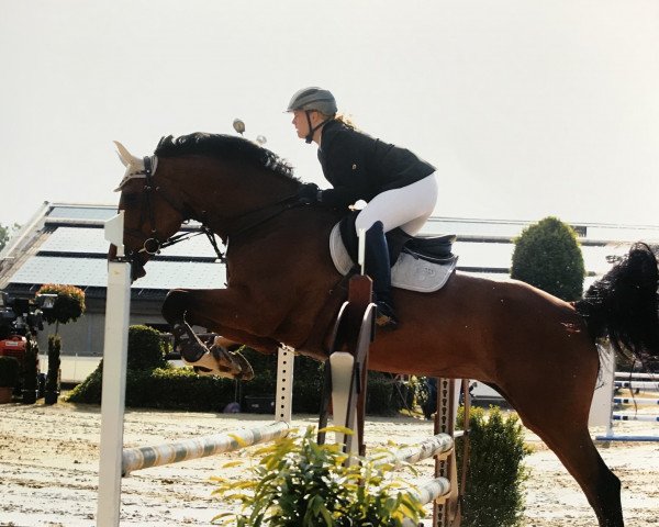 broodmare Another Tweety (Holsteiner, 2005, from Acodetto I)