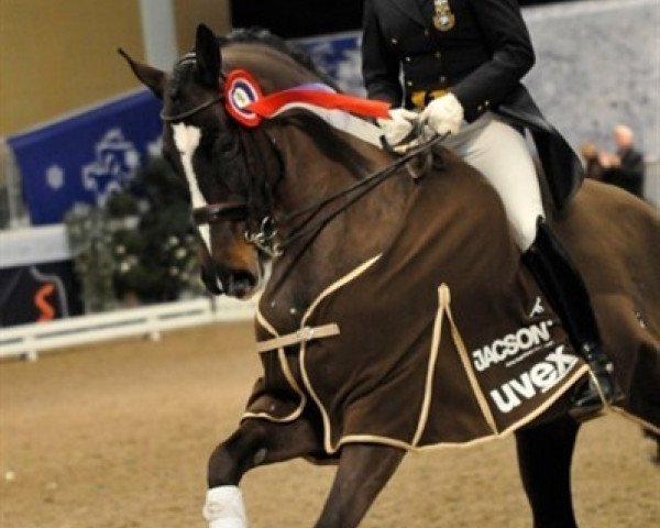dressage horse Liza Minelli (Swedish Warmblood, 1998, from Cortez)