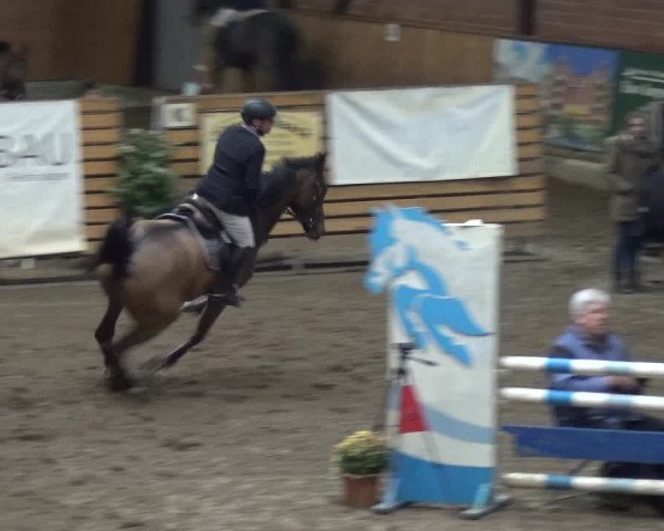 Reitturnier Stall Friedrichshulde, Sylva Kuhrt 2017